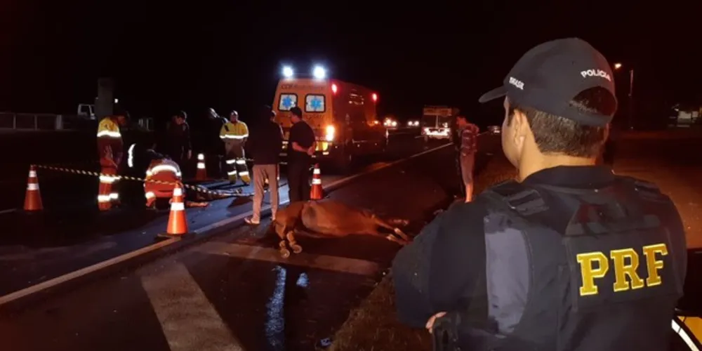 Acidente ocorreu na madrugada deste sábado 