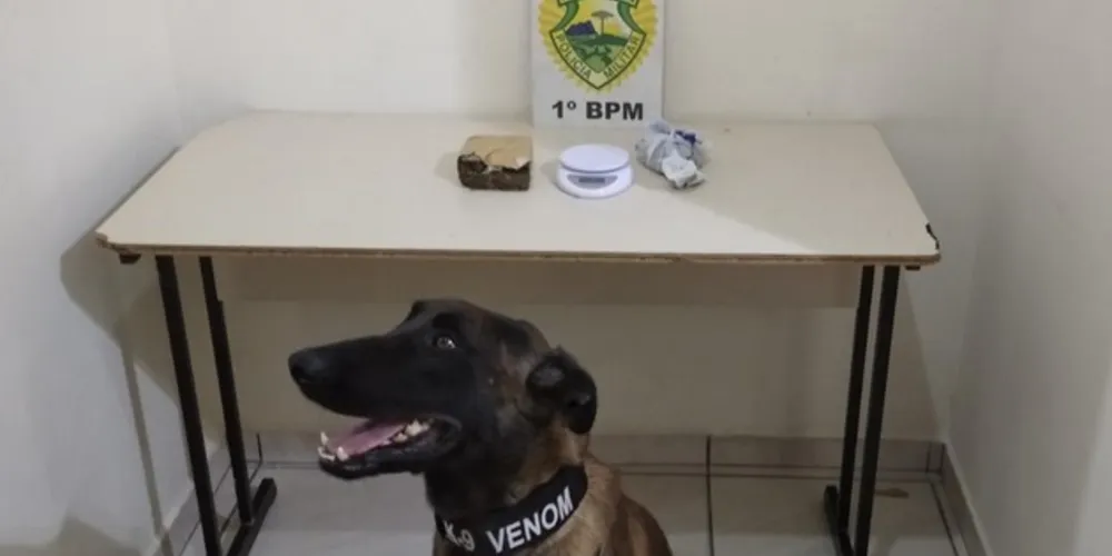 Imagem ilustrativa da imagem Polícia Militar flagra garoto traficando em Uvaranas