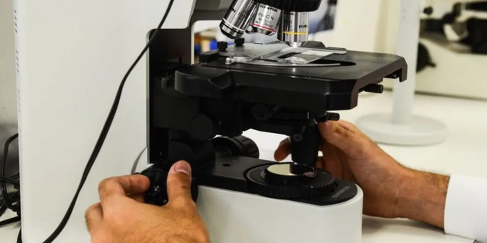 O trabalho foi conduzido durante a pesquisa de doutorado da professora Carolina Gonçalves Oliveira, atualmente no Instituto de Química da Universidade Federal de Uberlândia (UFU)