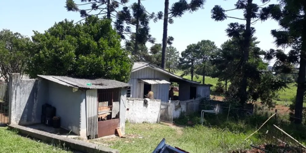 A Divisão de Homicídios e Proteção à Pessoa (DHPP) investiga o crime.