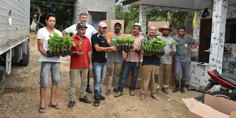Imagem ilustrativa da imagem Programa da Klabin aumenta renda de pequenos agricultores