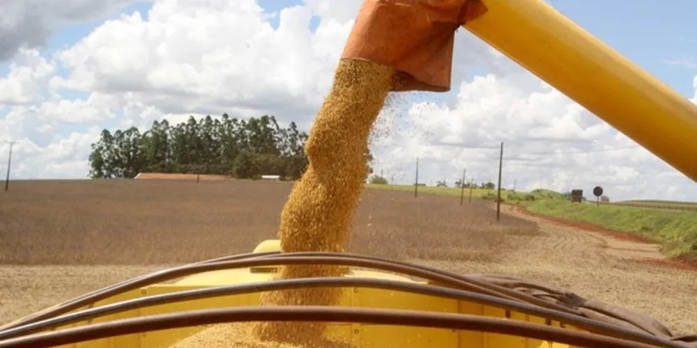 A produção brasileira deve ficar próxima a 95 milhões de toneladas e, apesar de ser menor do que no ano passado, atende ao mercado doméstico e às exportações
