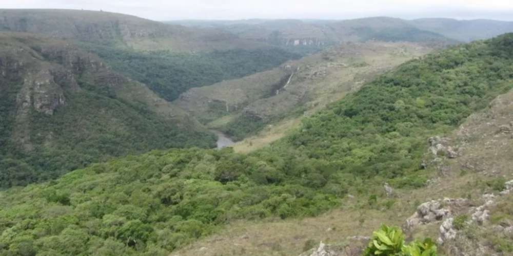Nesta sexta-feira (31) é comemorado o Dia Nacional das Reservas Particulares do Patrimônio Natural (RPPN)