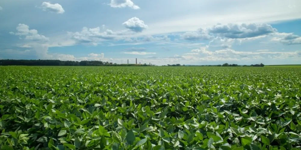 Imagem ilustrativa da imagem Agricultura familiar terá mais R$ 1 bilhão