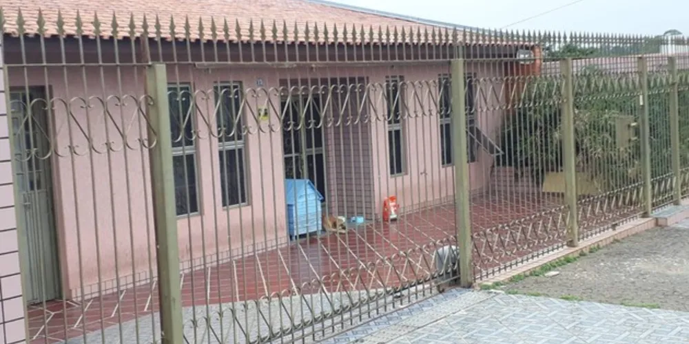 Imagem ilustrativa da imagem Vizinhos exigem retirada de 400 gatos de residência em PG