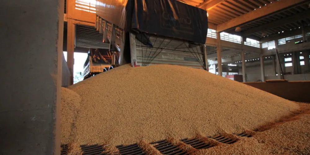 A redução na exportação da soja de Ponta Grossa passou de 76%  no último mês