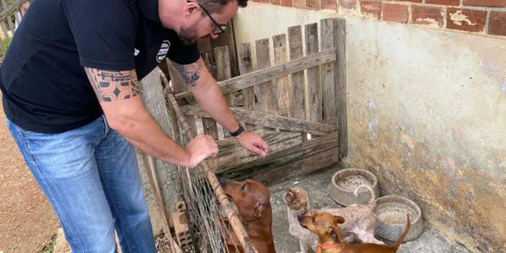 Animais estavam em chácara que pertencia a policial militar aposentado, diz a PCPR