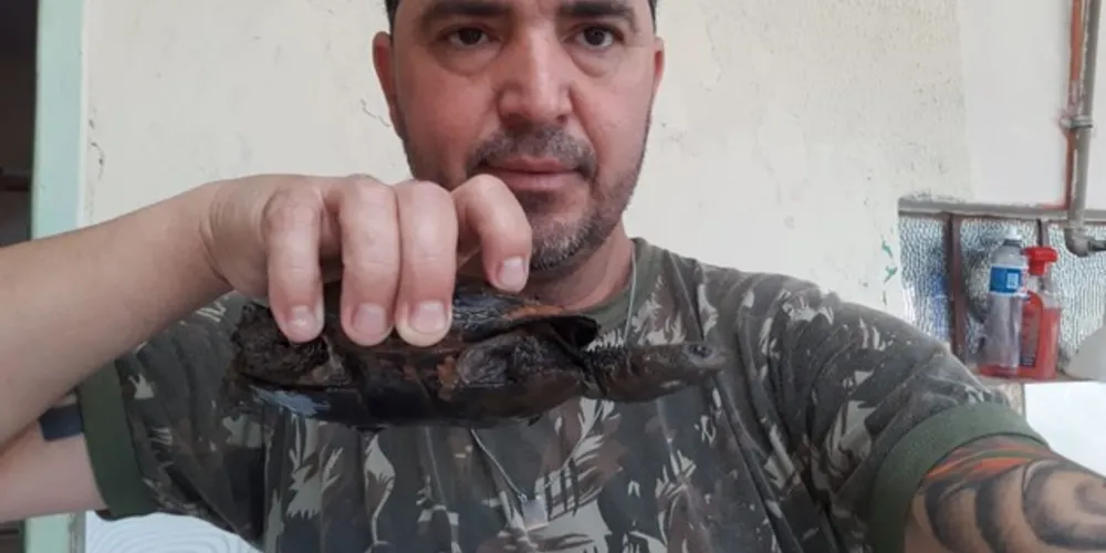 Denilson encontrou o animal e levou para casa. 