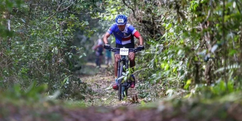 Pesquisa apontou que o segmento Ecoturismo/Natureza/Turismo de Aventura é o segundo mais procurado por clientes no Paraná (16,2%). 