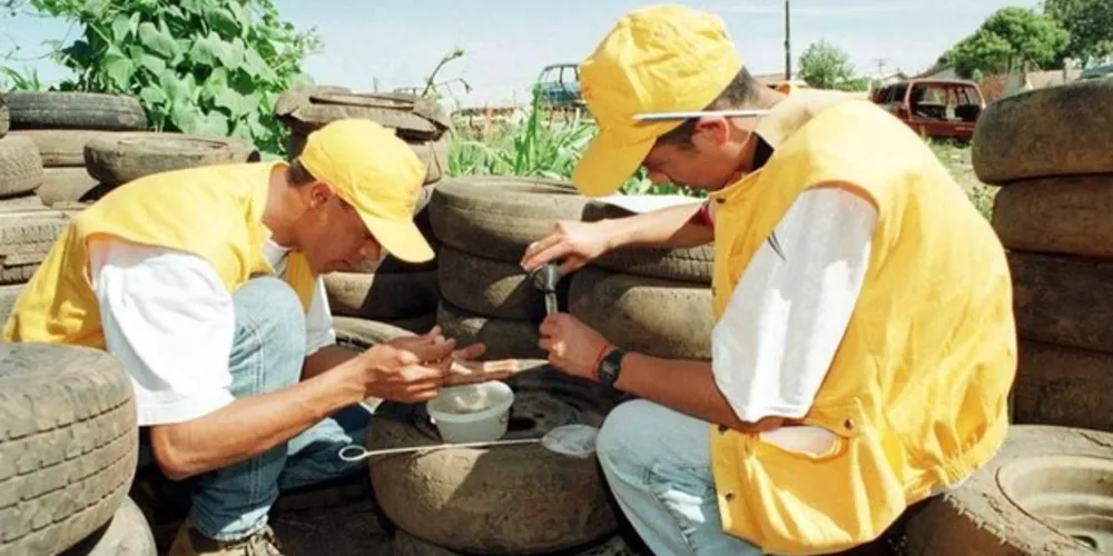 Levantamento de Índices Rápido para o Aedes aegypti mostra que o Paraná 331 municípios infestados, representando 82,96% do Estado.