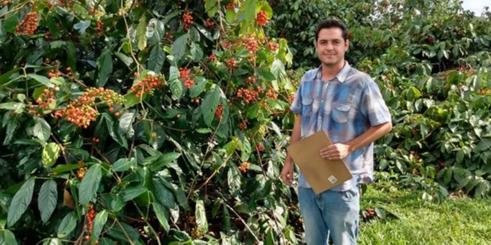 Selo garante ao consumidor que não foram utilizados agrotóxicos ou qualquer insumo químico sintético