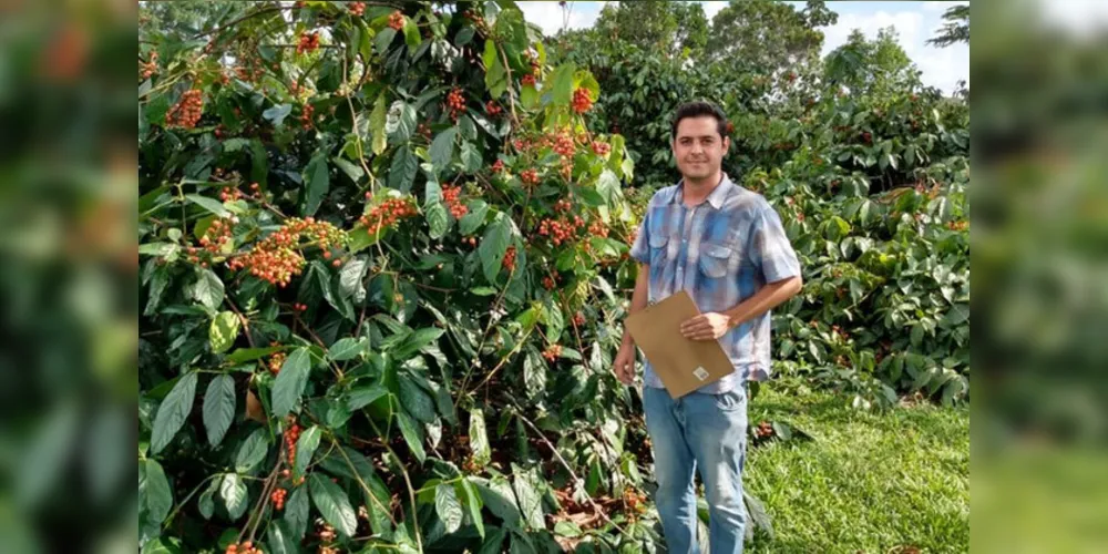Selo garante ao consumidor que não foram utilizados agrotóxicos ou qualquer insumo químico sintético