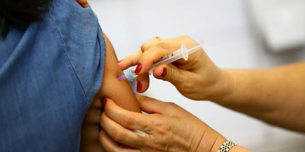 O trabalho inicial foi conduzido pela pesquisadora do Laboratório Desenvolvimento de Vacinas do Instituto Butantan