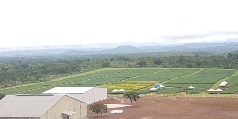 Início das operações no Tocantins ocorreu em 2016