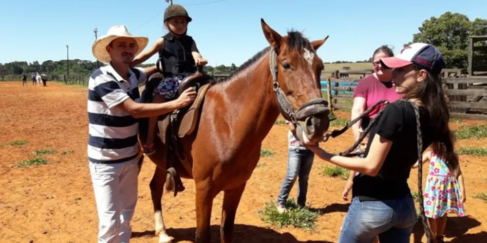 Animais eram utilizados no Centro de Reabilitação dos Campos Gerais e atendiam pacientes no processo terapêutico
