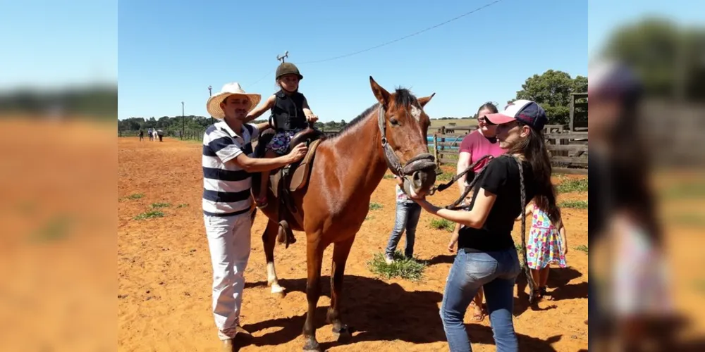 Animais eram utilizados no Centro de Reabilitação dos Campos Gerais e atendiam pacientes no processo terapêutico
