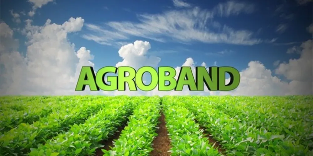 Imagem ilustrativa da imagem Band muda nome e define lançamento de novo canal de agronegócios