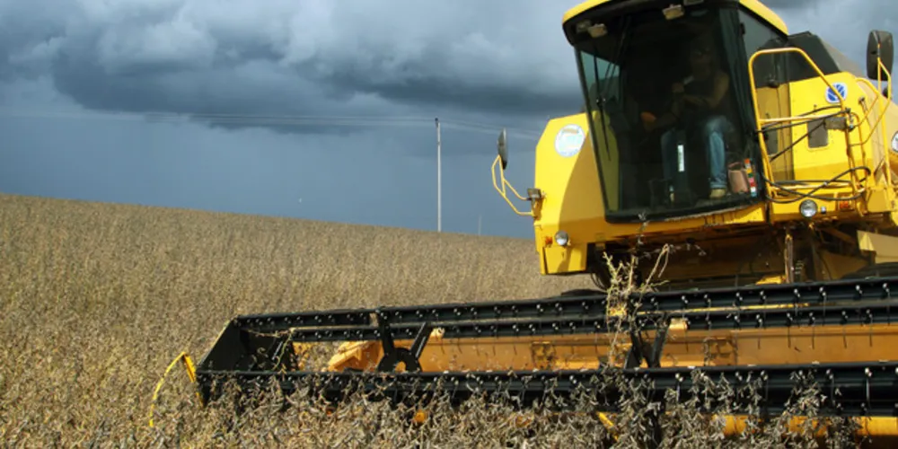 Alta é de 22% em relação ao colhido no ano anterior