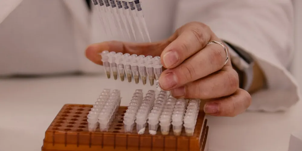 O material foi coletado e enviado para  Curitiba, onde ocorrerá o primeiro teste