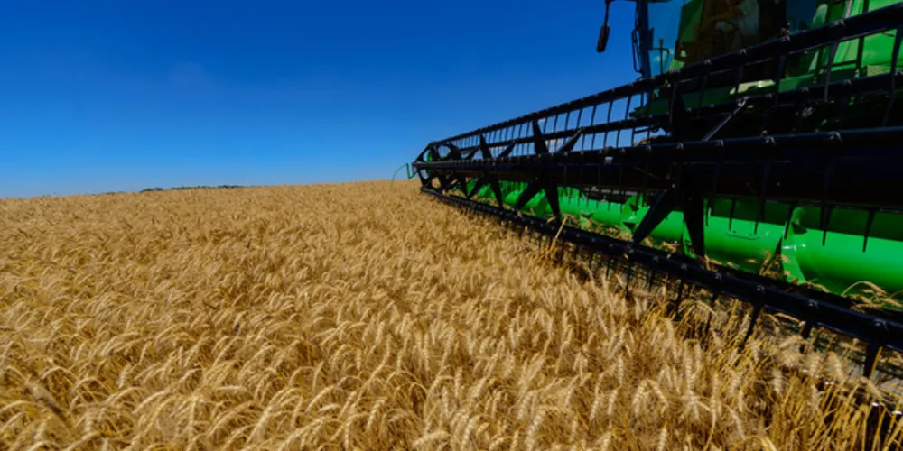 A variação em volume do Valor Adicionado da Agropecuária no ano de 2019 (1,3%) decorreu do desempenho positivo tanto da agricultura quanto da pecuária