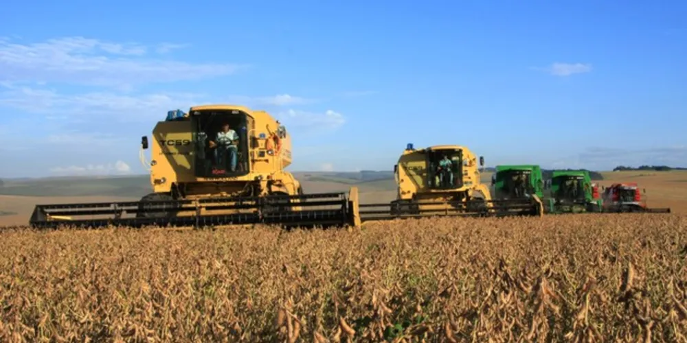 Responsáveis pela maior participação no faturamento, os produtos da agricultura podem somar R$ 38,8 bilhões ao valor total do VBP