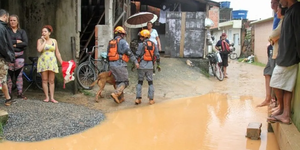 Além da equipe de buscas, também atuam no Guarujá 40 militares das Forças Armadas que organizam e distribuem donativos e ajudam na segurança da região
