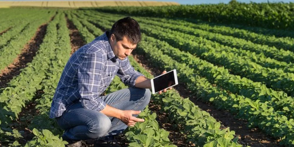 Imagem ilustrativa da imagem Cescage lança curso de Gestão do Agronegócio neste sábado