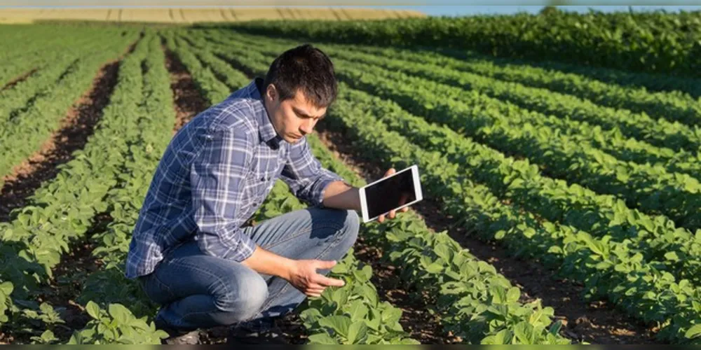 Imagem ilustrativa da imagem Cescage lança curso de Gestão do Agronegócio neste sábado