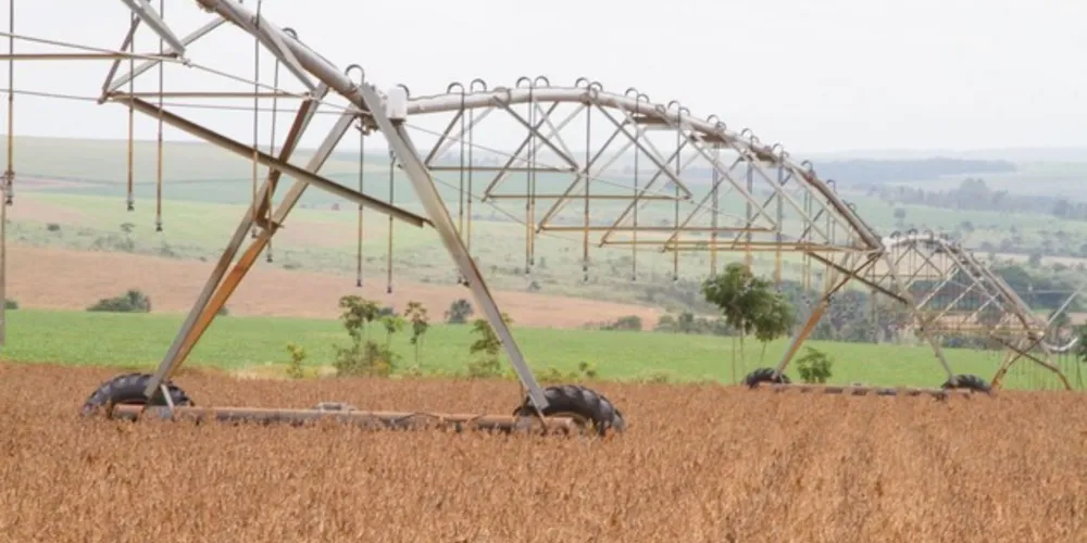 A produção em 2020 deve chegar a 249 milhões de toneladas, diz IBGE