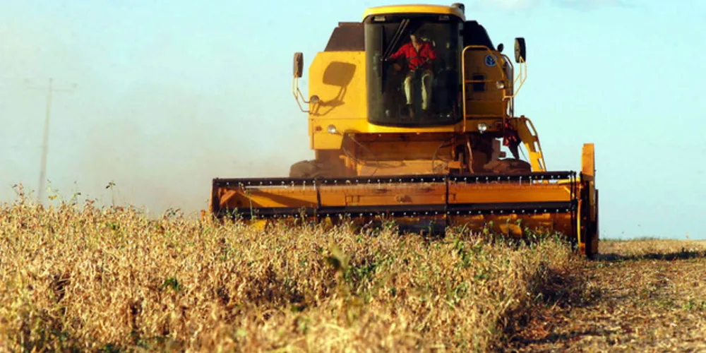 Condições climáticas favorecem as lavouras de grãos nas principais regiões produtoras do Brasil