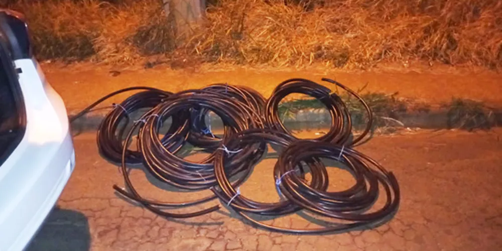 Produtos seriam colocados em van, mas ladrões fugiram do local com a chegada de vigilante