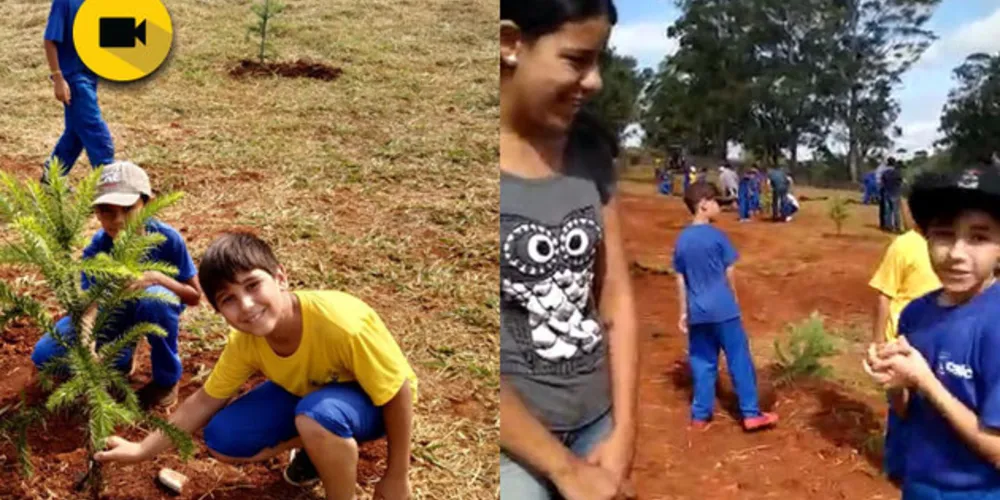 Imagem ilustrativa da imagem Alunos plantam araucárias em comemoração aos 50 anos da UEPG