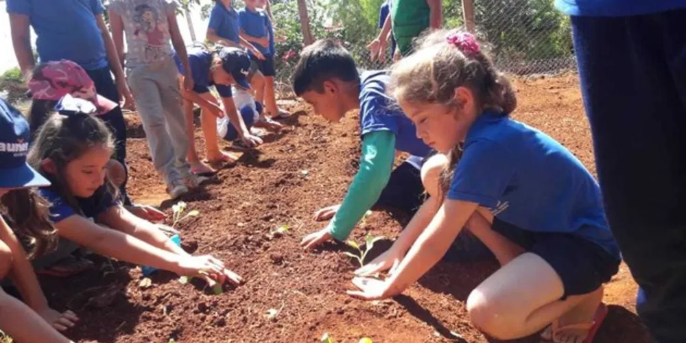 A Escola Municipal Professor Felício Francisquiny atende atualmente 112 alunos