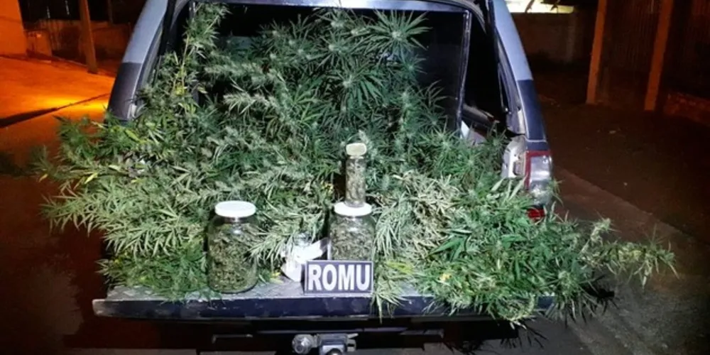 Droga foi encontrada em residência no bairro Contorno na noite de domingo