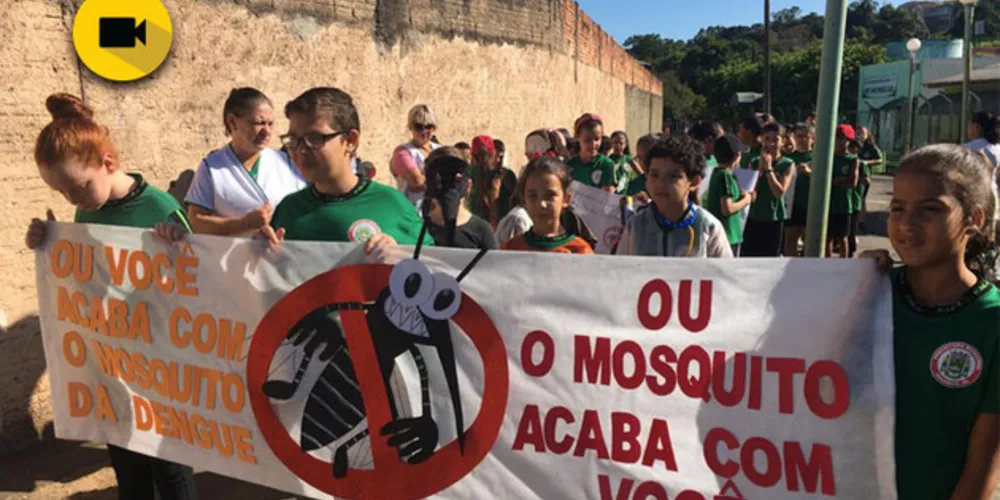 Imagem ilustrativa da imagem Comunidade tem auxílio de alunos no combate à Dengue