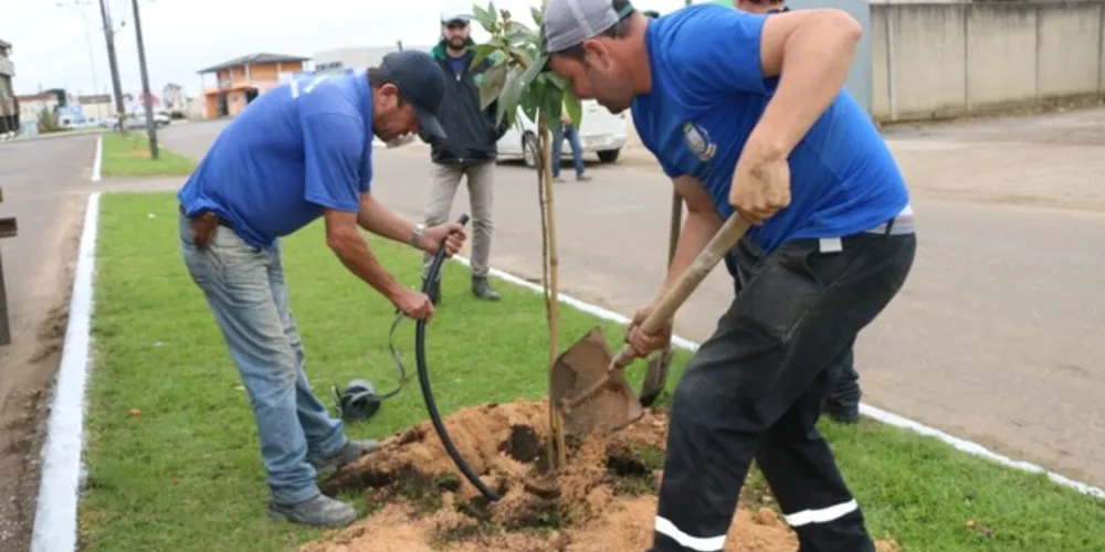 Imagem ilustrativa da imagem Projeto retira mais de 1,8 mil toneladas de lixo das ruas de Castro