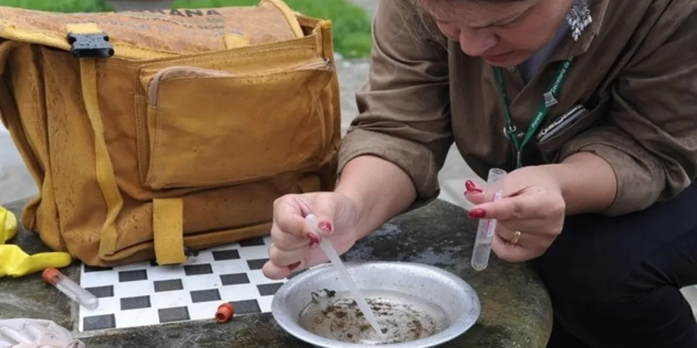 O alerta da SMS é para que a comunidade não descuide da vigilância