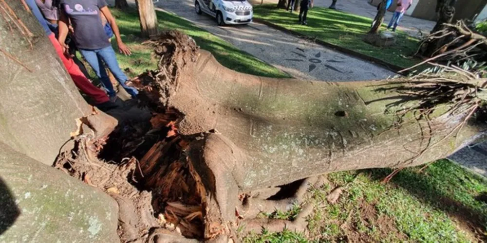 O incidente assustou as pessoas que passavam pelo local. Ninguém ficou ferido