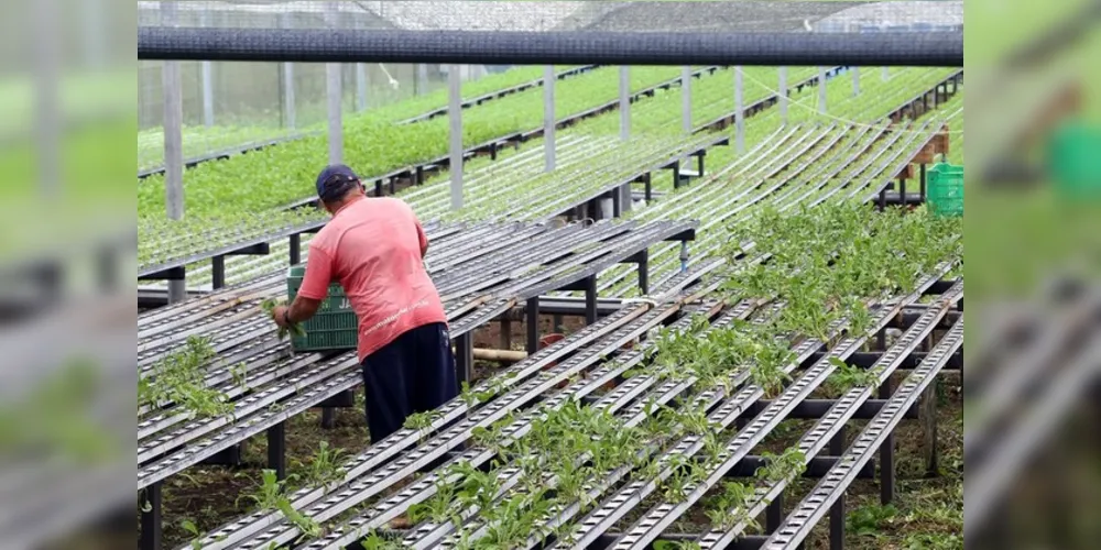 Além de disponibilizar o WhatsApp como canal de comunicação, a confederação doou R$ 5 milhões ao Ministério da Agricultura, Pecuária e Abastecimento (Mapa) para ajudar em ações de combate ao novo coronavírus.