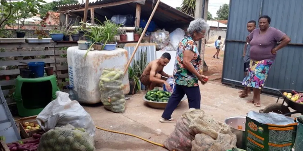Os insumos foram comprados na última semana para o Feira Verde