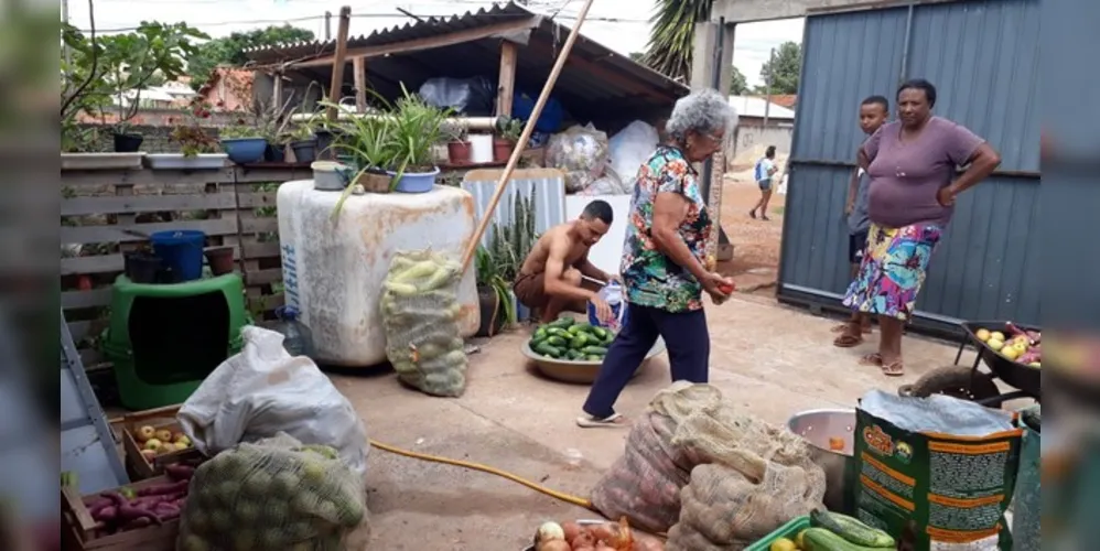 Os insumos foram comprados na última semana para o Feira Verde