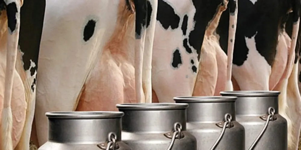 Levantamento divulgado pelo Procon SC indica que os preços de embalagens de leite longa vida das três marcas dispararam