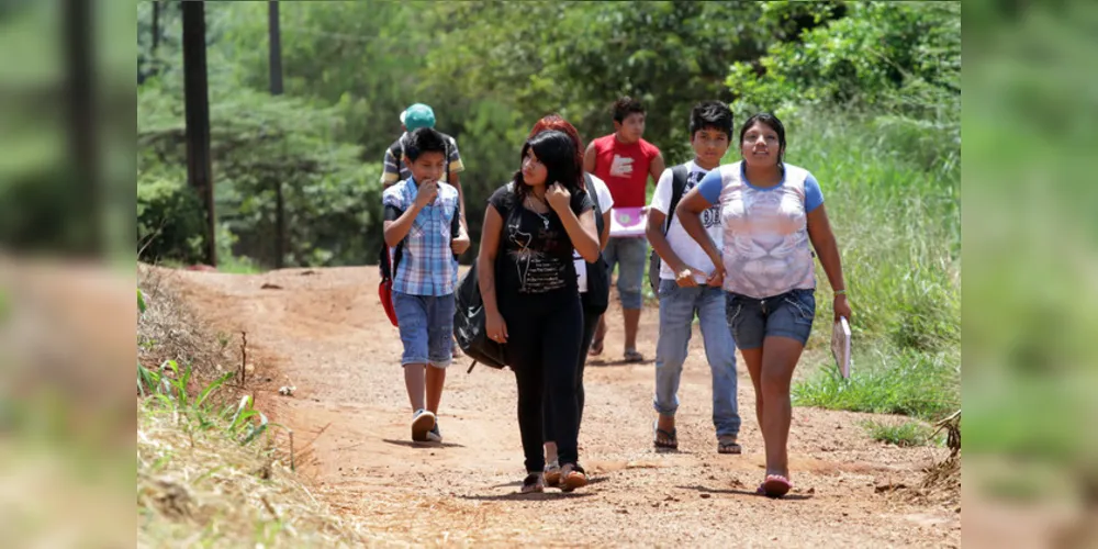 O recurso vai ser destinado à alimentação e itens de higiene a infância para 36 núcleos quilombolas no Paraná e já reconhecidos pela Fundação Cultural Palmares, que vivem em lugares de difícil acesso.