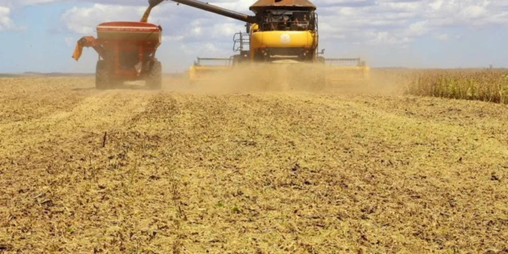 A  primeira avaliação da safra de inverno mostra que os cereais de inverno retomaram o crescimento de área, com um aumento de 4%