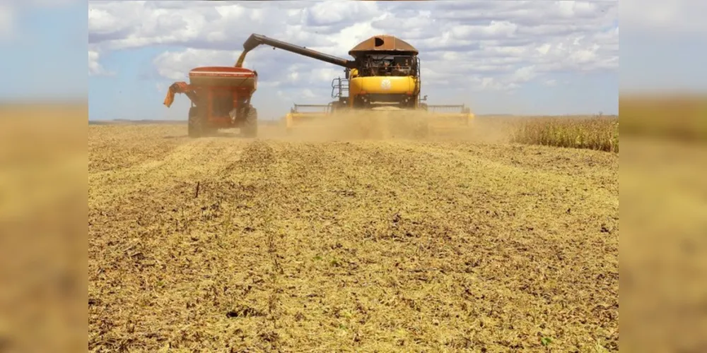 A  primeira avaliação da safra de inverno mostra que os cereais de inverno retomaram o crescimento de área, com um aumento de 4%