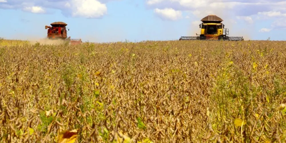 Imagem ilustrativa da imagem Região produzirá 3,3 mi de toneladas na safra de verão