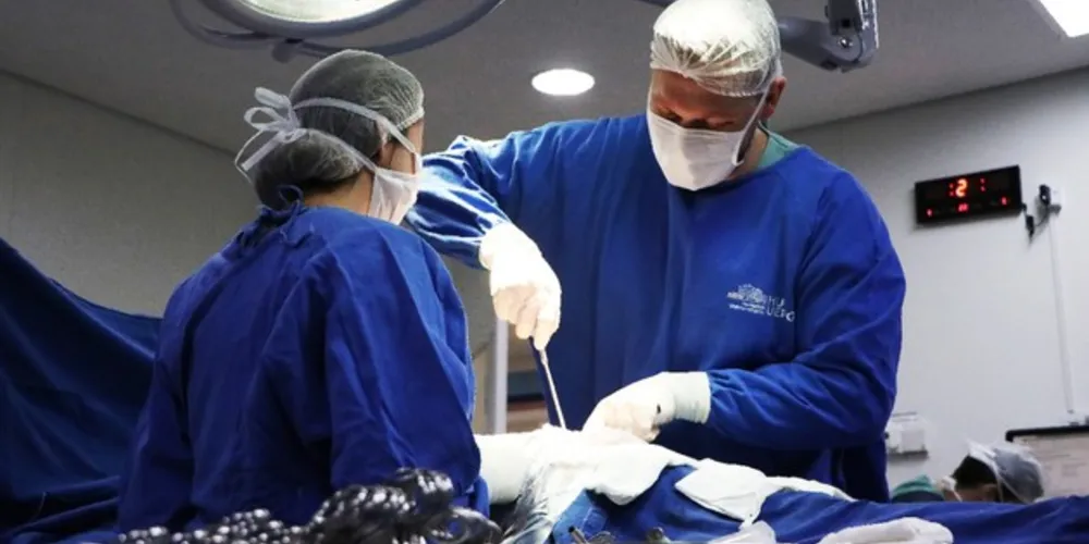 São oferecidos no HU-UEPG diversos serviços de saúde como o atendimento ambulatorial, atendimento de Urgência e Emergência, Maternidade, Exames e Análises Clínicas, entre outros.