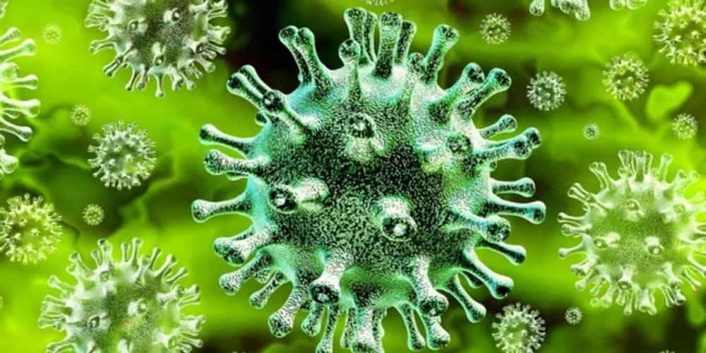 Novo caso de coronavírus, em Castro, foi informado nesta manhã