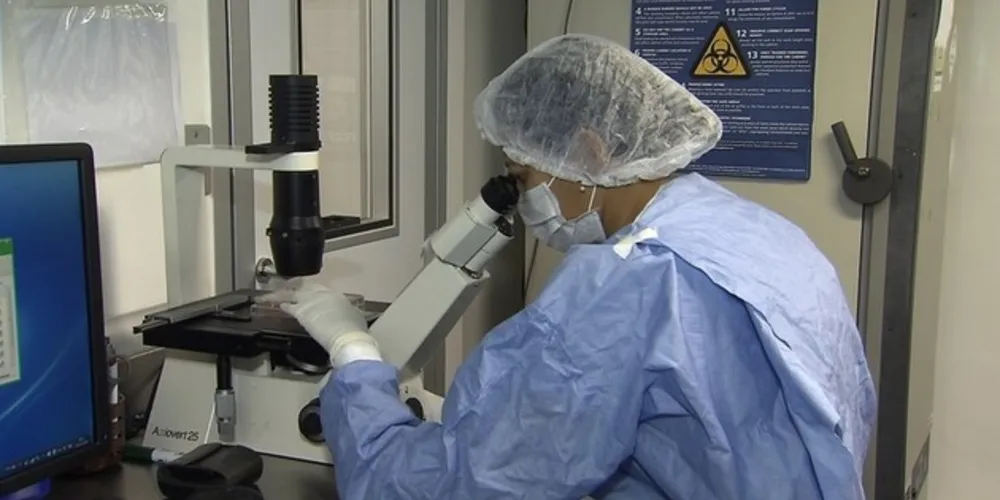 A cidade de Palmeira possui quatro casos suspeitos e outros 48 pacientes em acompanhamento e isolamento domiciliar por síndromes respiratórias leves