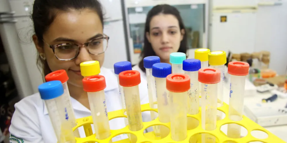 As instituições estão formando redes de pesquisadores para intensificar estes trabalhos.